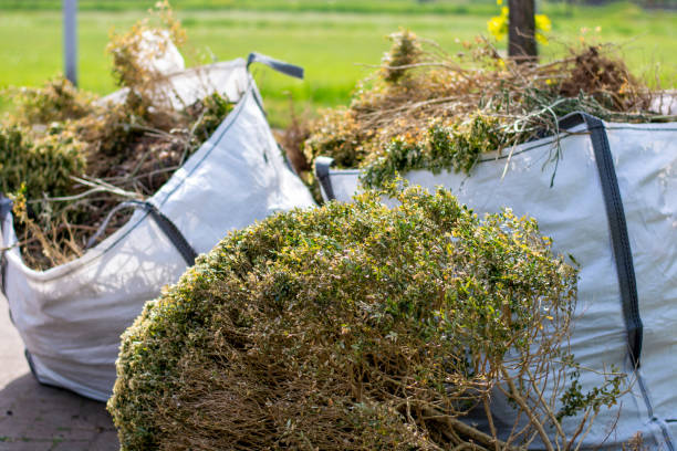 Best Furniture Removal Near Me  in Baxter, MN